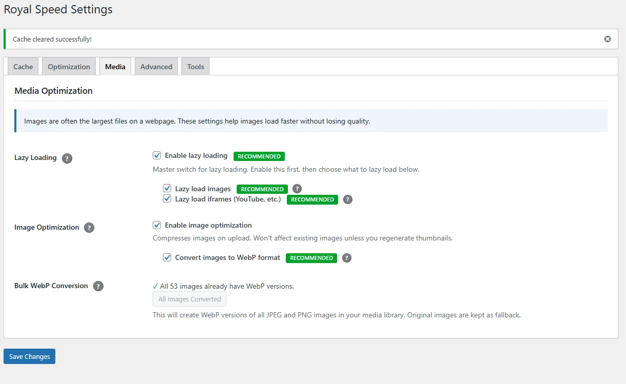 ForgeCache Media Settings