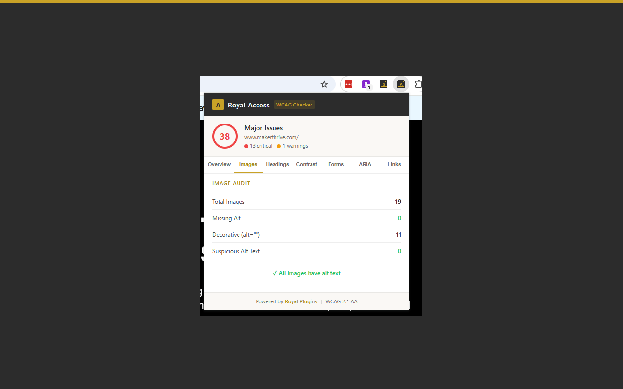 Royal Access Images tab showing missing alt text findings with image src and fix hints