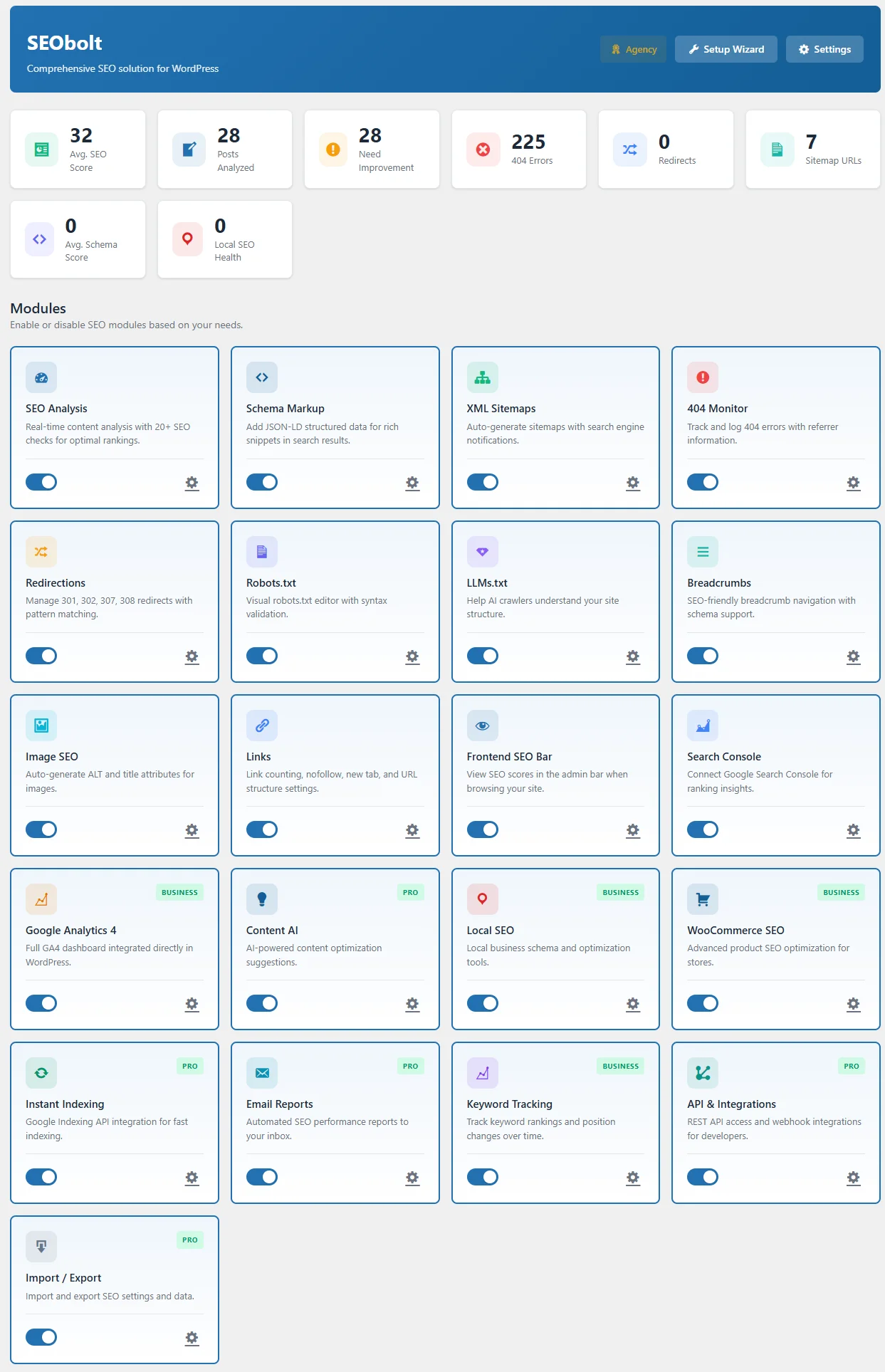 SEObolt Pro Plugin Dashboard