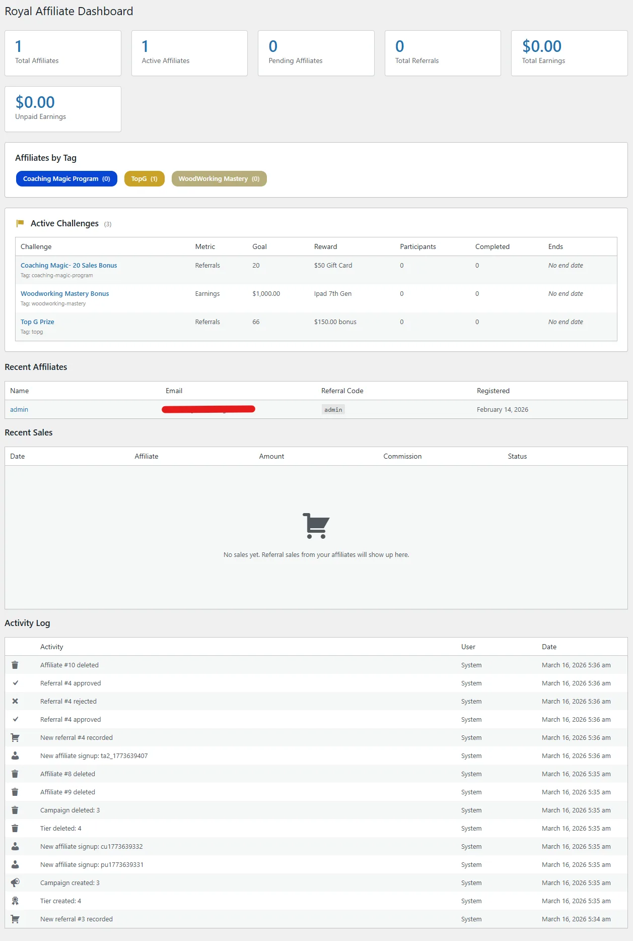 Affiliate Dashboard Overview Tab